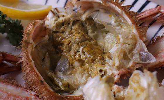 景色と、味と、体験と。冬だけの楽しみを見つけに。