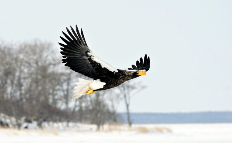 鳥のさえずりに耳を澄ませて。目指すは「野鳥の宝庫」。