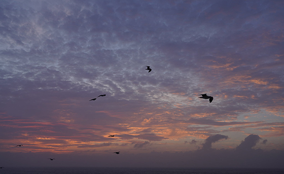 道東の雄大さに触れる。3つの岬を巡って、絶景に出合う旅。