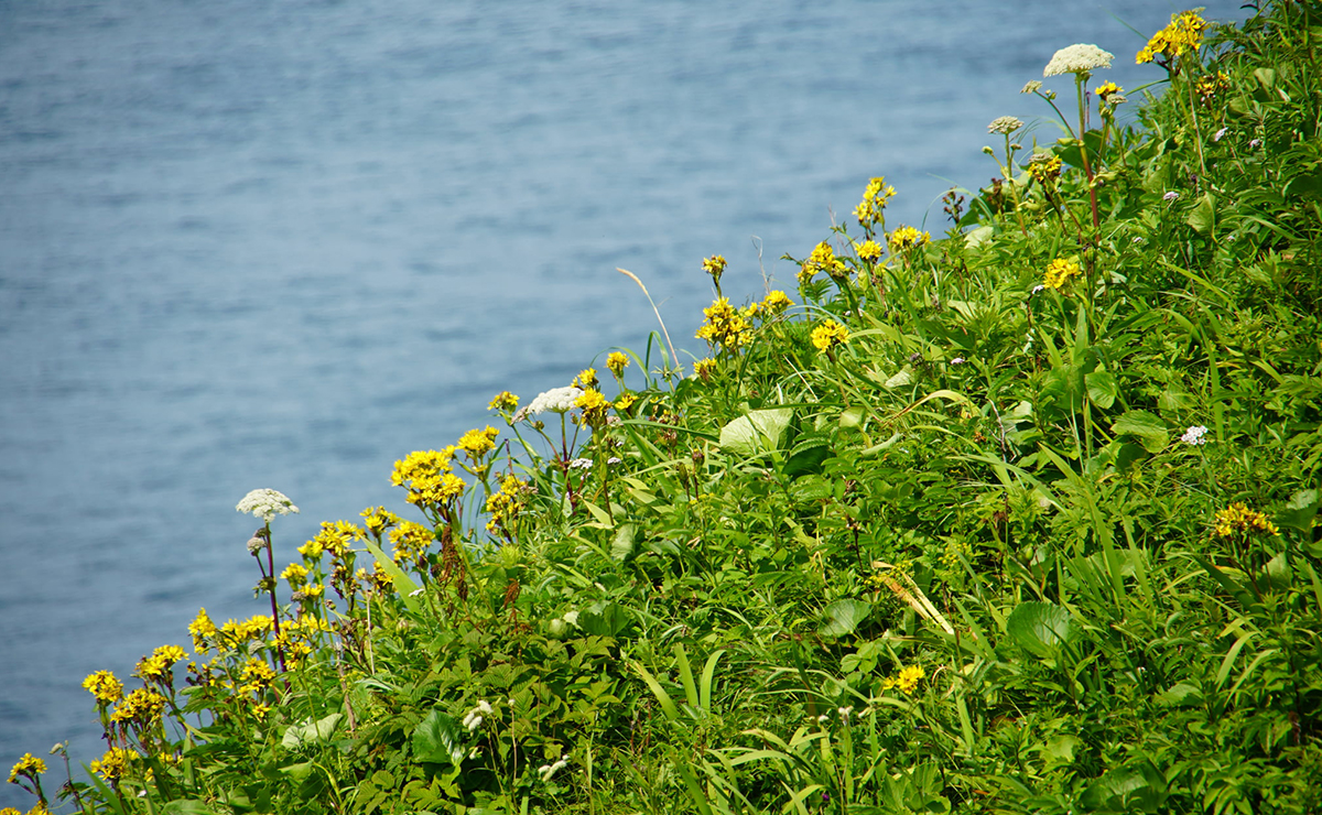 道東の雄大さに触れる。3つの岬を巡って、絶景に出合う旅。