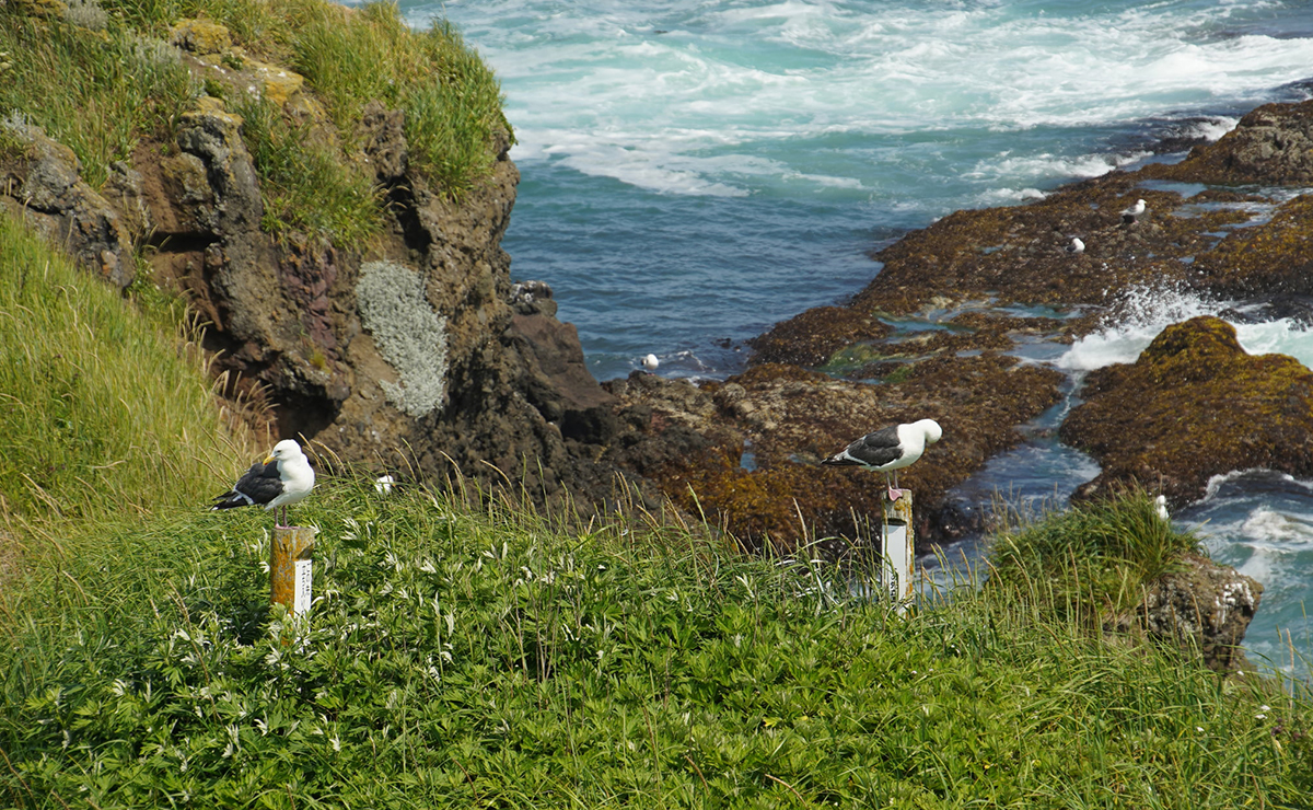 鳥のさえずりに耳を澄ませて。目指すは「野鳥の宝庫」。