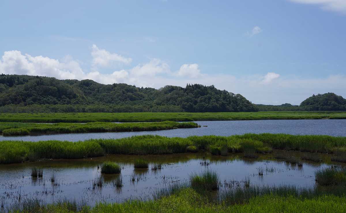鉄道と自然が織り成す、絶好のフォトスポットへ
