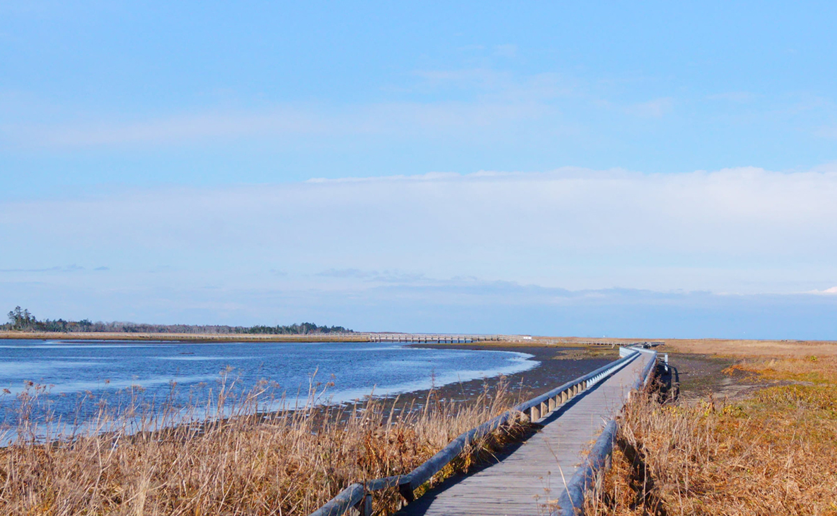 鳥のさえずりに耳を澄ませて。目指すは「野鳥の宝庫」。
